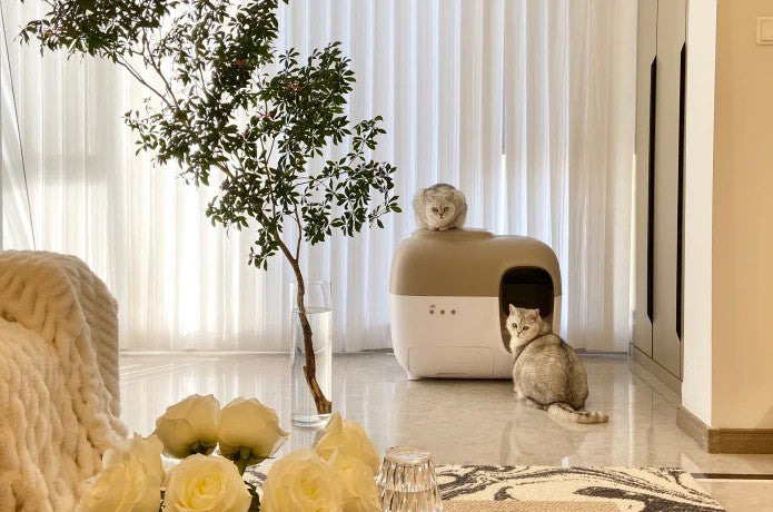 🔥70% OFF APP intelligent automatic shovel cat basin