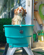 💥Last Day For Clearance🚀The Most Elegant, Convenient And Functional Dog Bath