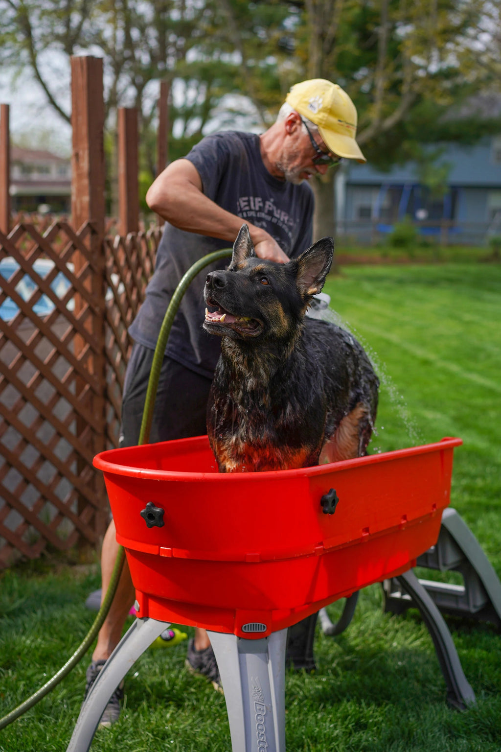 💥Last Day For Clearance🚀The Most Elegant, Convenient And Functional Dog Bath