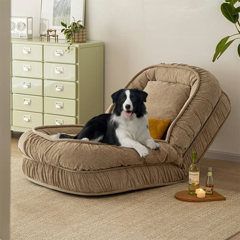 The Dog Bed for Humans