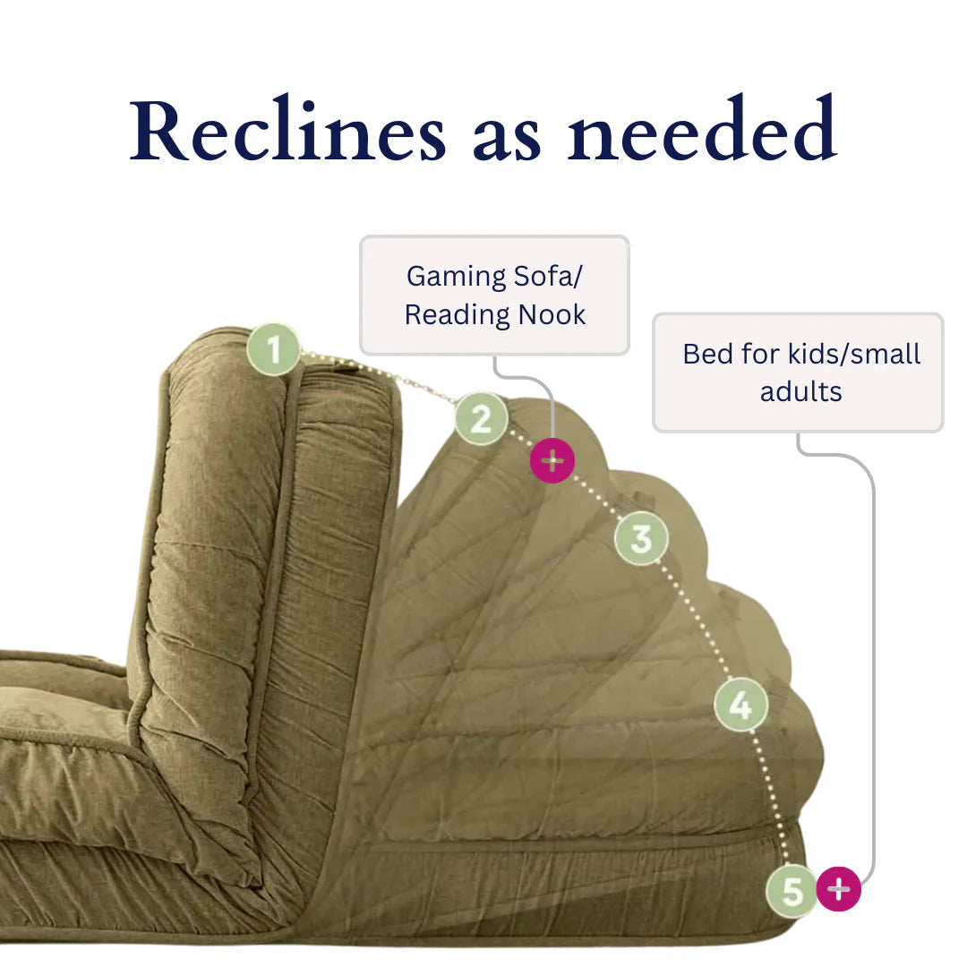 The Dog Bed for Humans