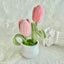 Handcrafted Tulips For Gift