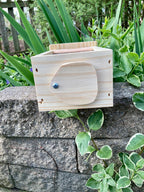 Carpenter Bee Traps