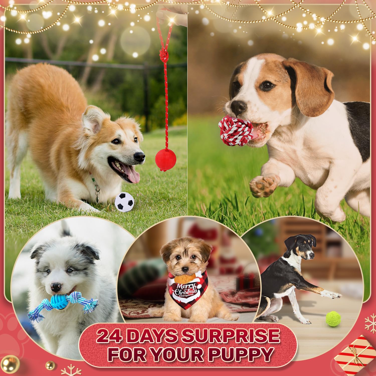 🐶2024 Christmas Countdown Dog Toys Advent Calendar Secondary image